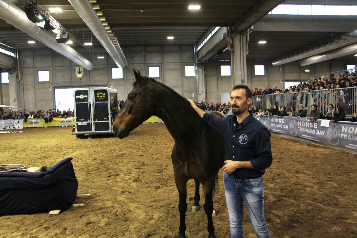Alberto Alessi con un cavallo a un Horse Training Day